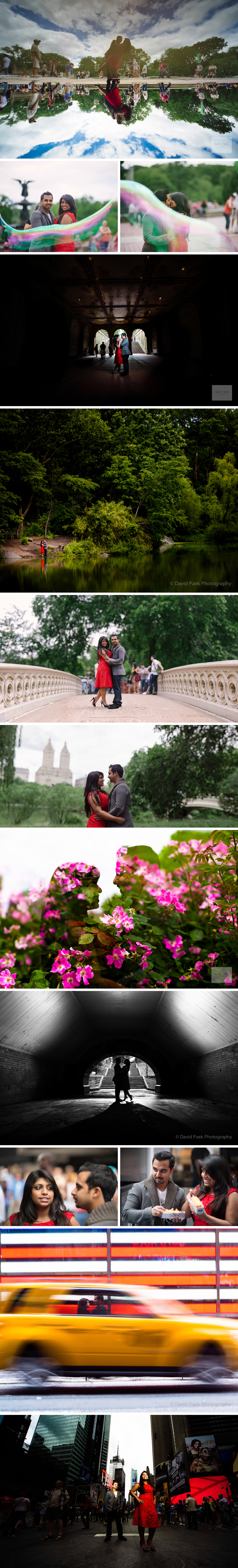 Central Park Engagement Shoot, Wedding photographer