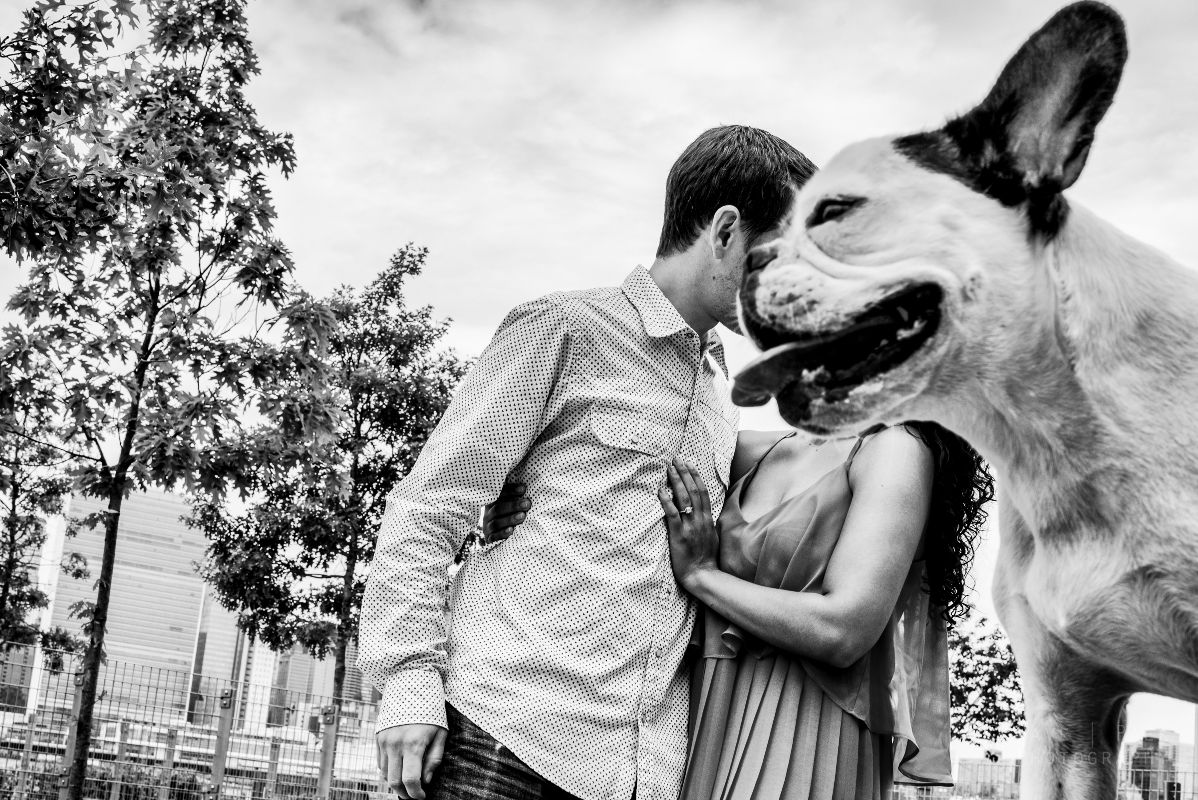 Best Engagement Photos of 2015